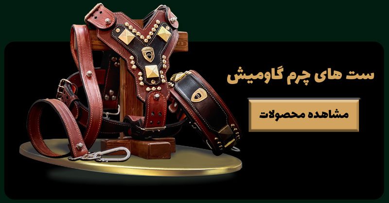 قلاده سگ - ست قلاده گس از چرم طبیعی